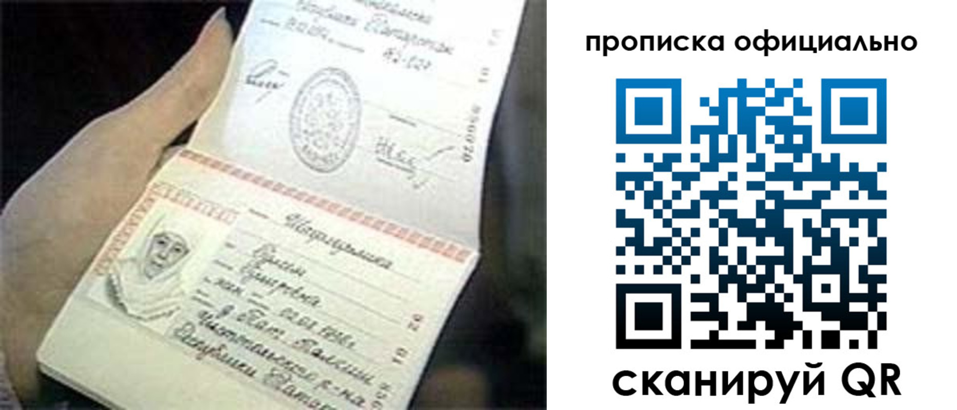 прописка поиск в Дубне